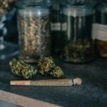 Cannabis Product Categories and Consumer Awareness Across Canada